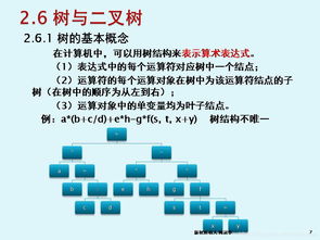 軟件技術基礎與開發(fā) 第2章第5節(jié)——樹與二叉樹在技術轉讓中的應用